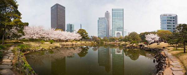 panorama of one of the lakes in the garden