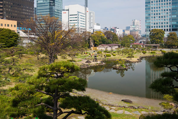 one of the lakes from a hill in the garden