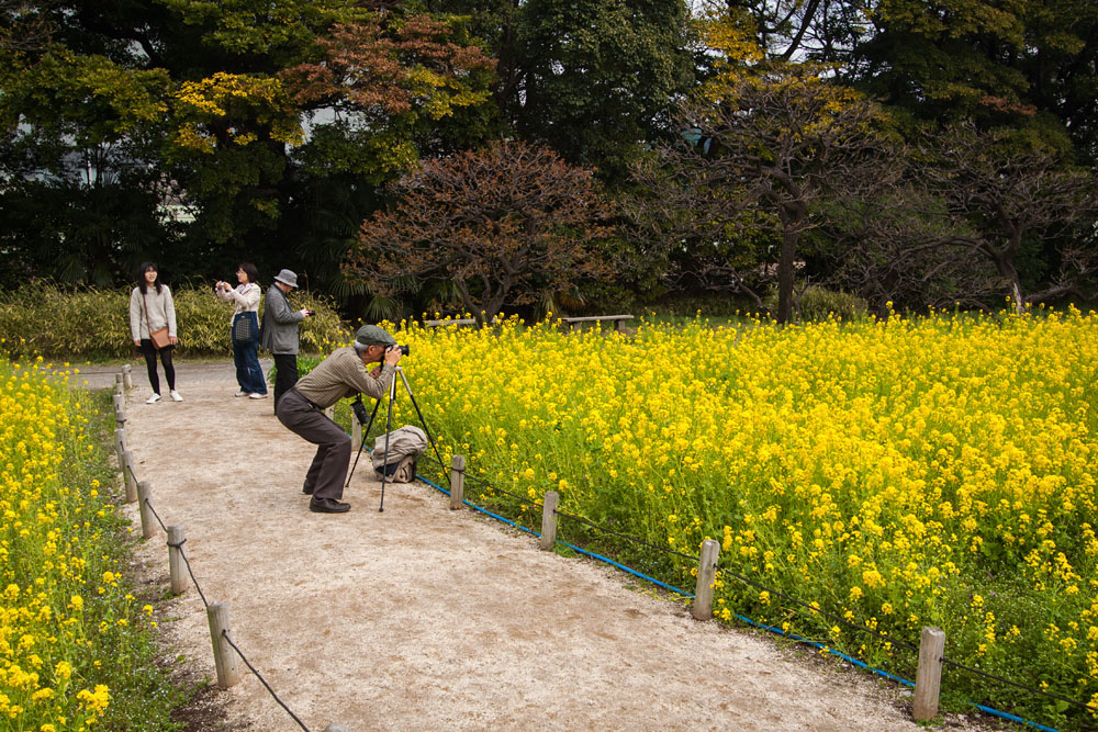 composing a shot
