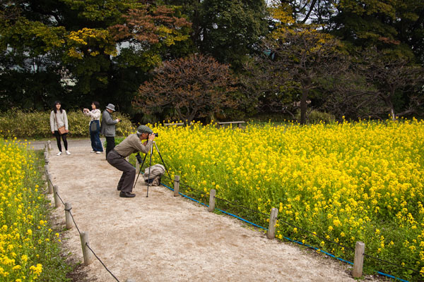 composing a shot