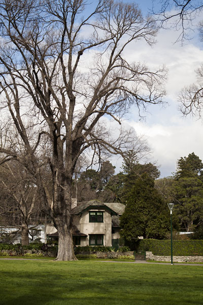 Captain Cook's cottage