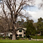 Captain Cook's cottage