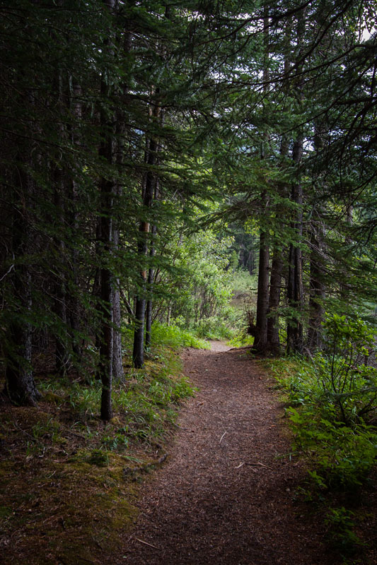 path to the lake