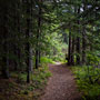 path to the lake