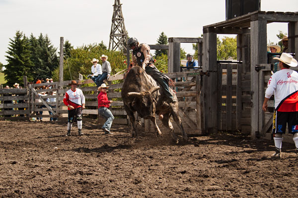 bull riding action at the rodeo