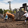 bull riding action at the rodeo