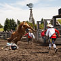 bull riding action at the rodeo