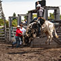 bull riding action at the rodeo