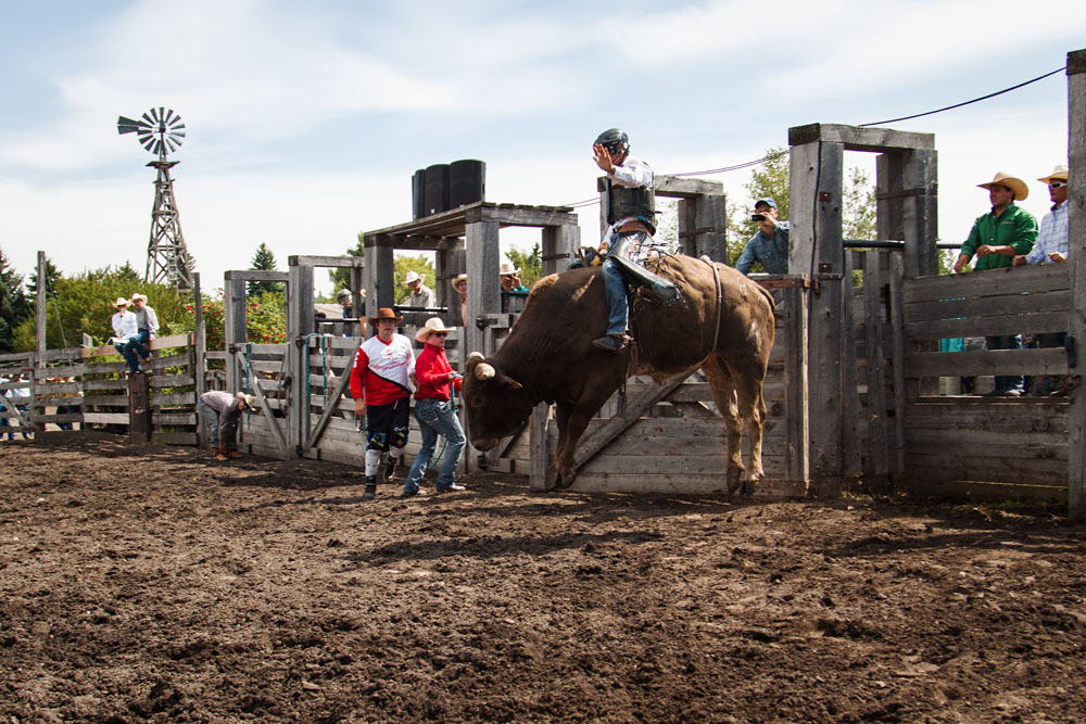 bull riding action at the rodeo