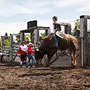 bull riding action at the rodeo
