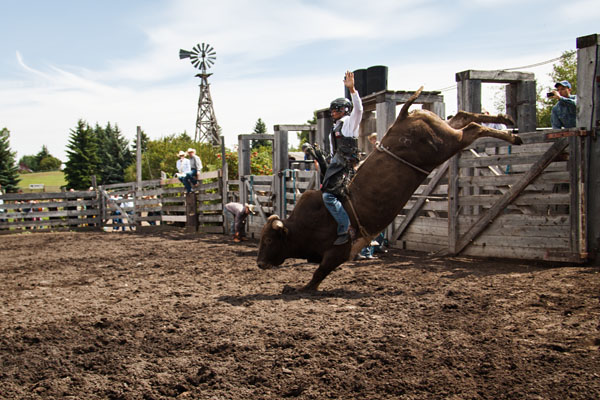 bull riding action at the rodeo