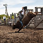bull riding action at the rodeo