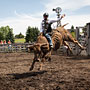 bull riding action at the rodeo