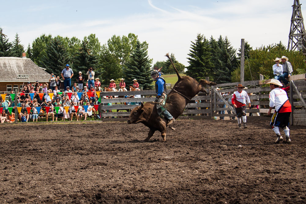 bull riding action at the rodeo