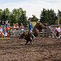 bull riding action at the rodeo