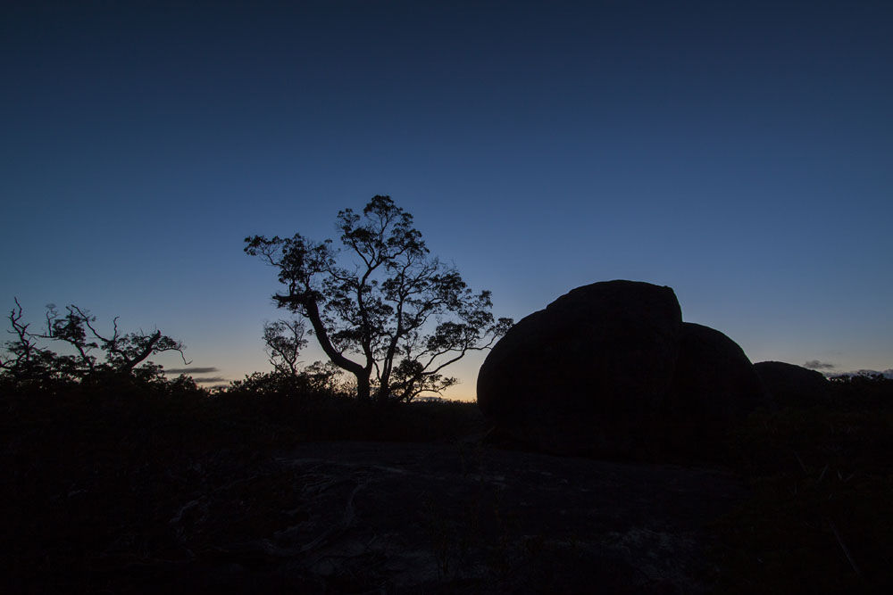 silhouettes just before sunrise