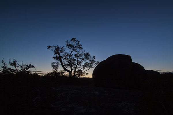 silhouettes just before sunrise