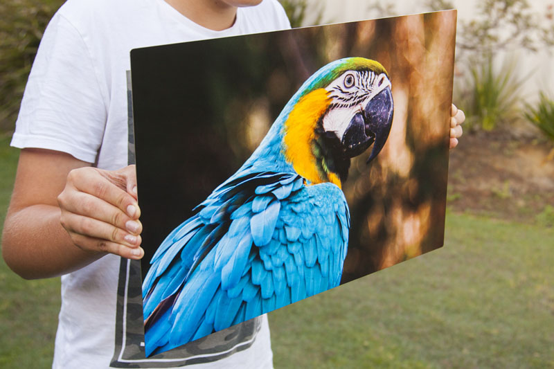 handling the print by the edges to avoid fingerprints