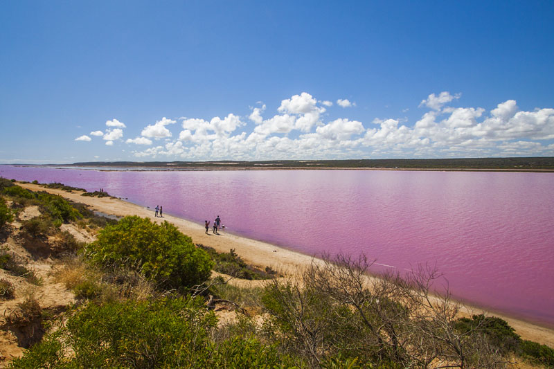 Hutt Lagoon aka the pink lake