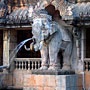 elephant fountain