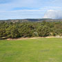 bushfire in the hills