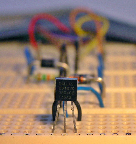 Dallas/Maxim DS18S20 and breadboard circuitry