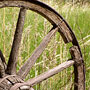 old wooden wheel
