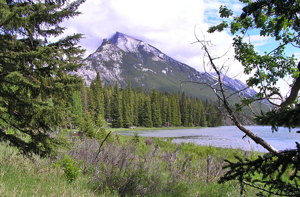Bow River just outside Banff