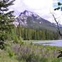 Bow River just outside Banff